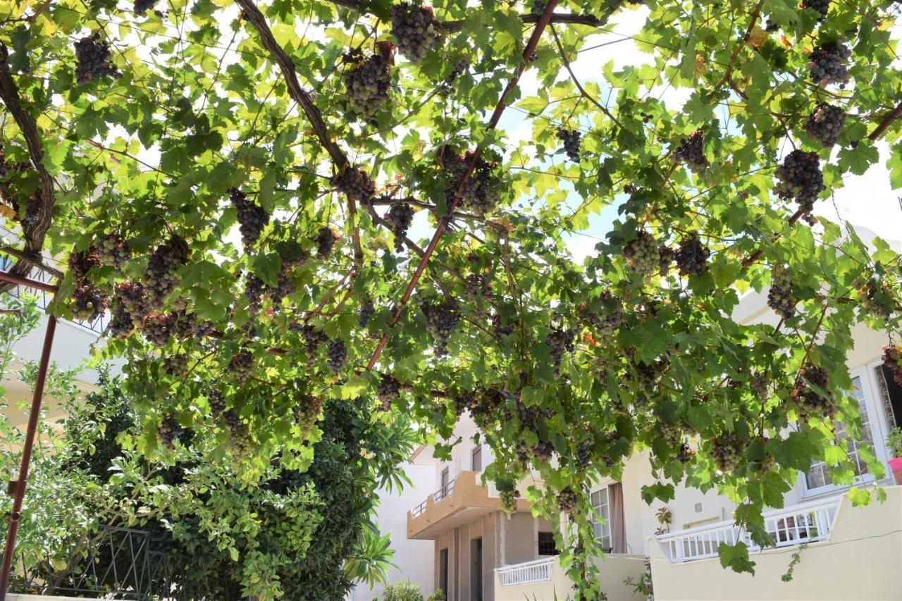Village Home In Paradeísion מראה חיצוני תמונה